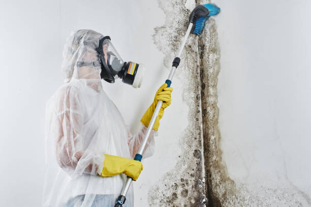 Best Bathroom Mold Remediation in Guymon, OK